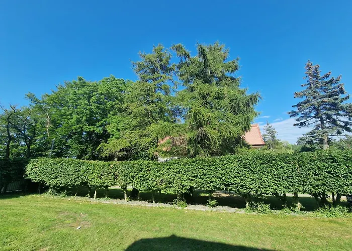 Osrodek Promenada- Faleza